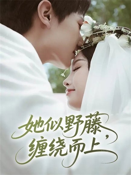 她似野藤，缠绕而上（51集）万烽＆李文茹 高清完整版